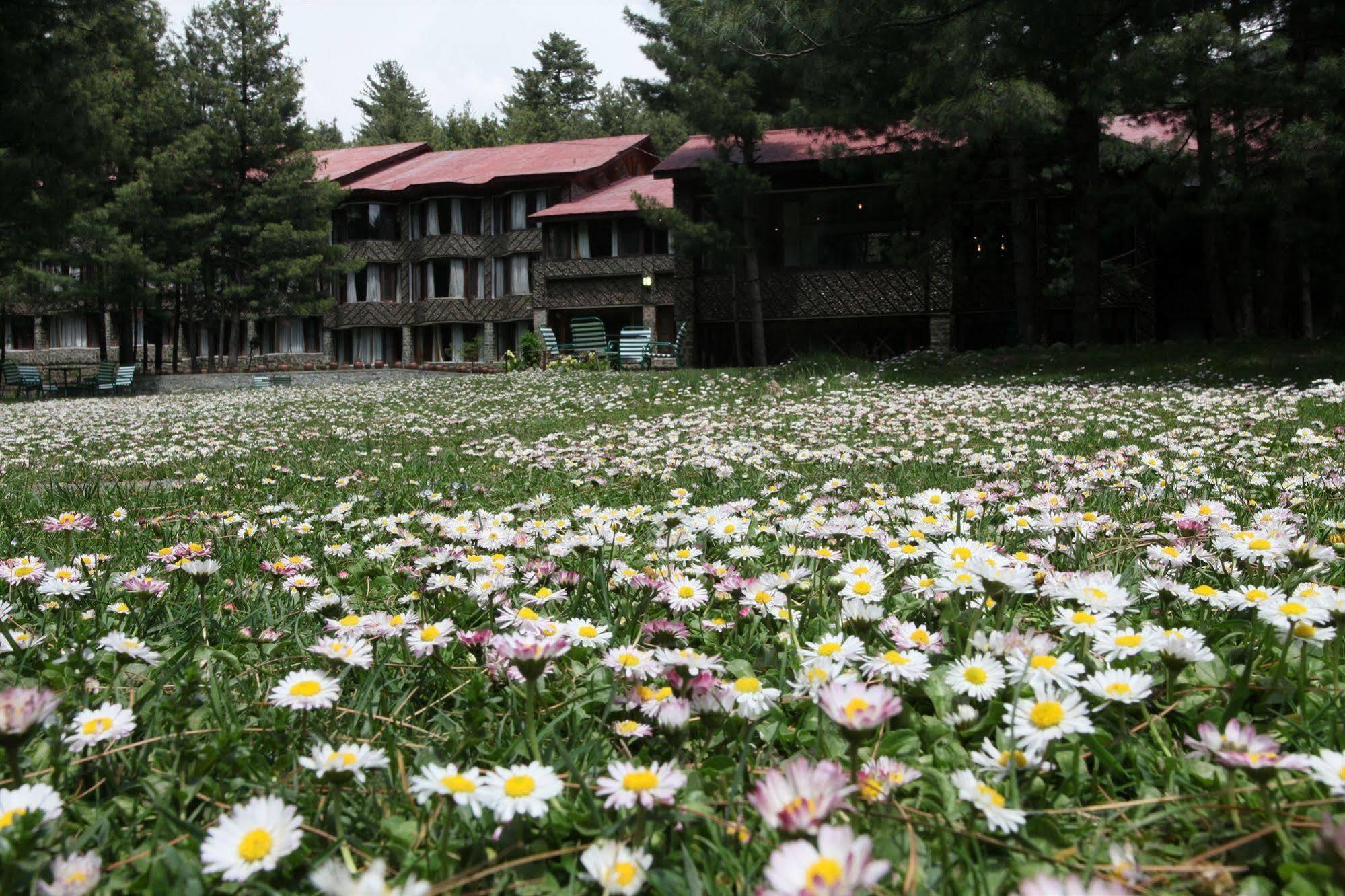 Senator Pine N Peak Pahalgām Exterior foto