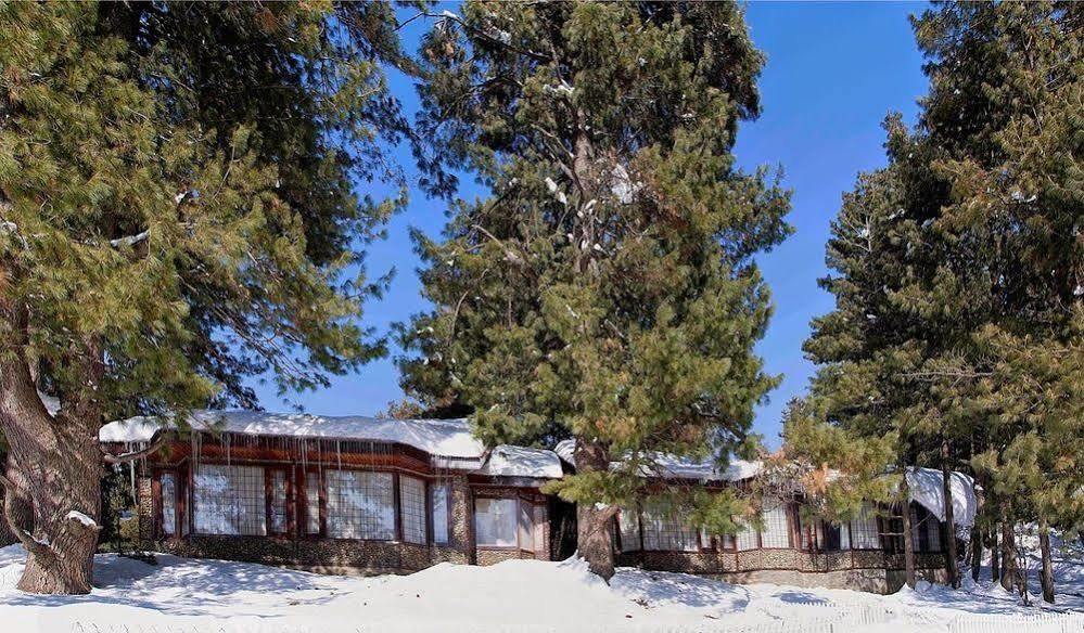 Senator Pine N Peak Pahalgām Exterior foto